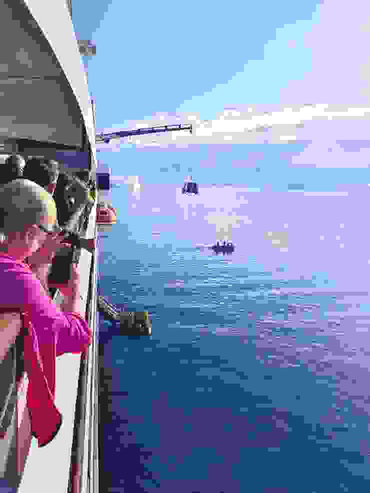 此行最後一次巡航，最後一艘載客橡皮艇的遊客上岸，橡皮艇吊掛上船頂甲板，大家紛紛拍照留念。