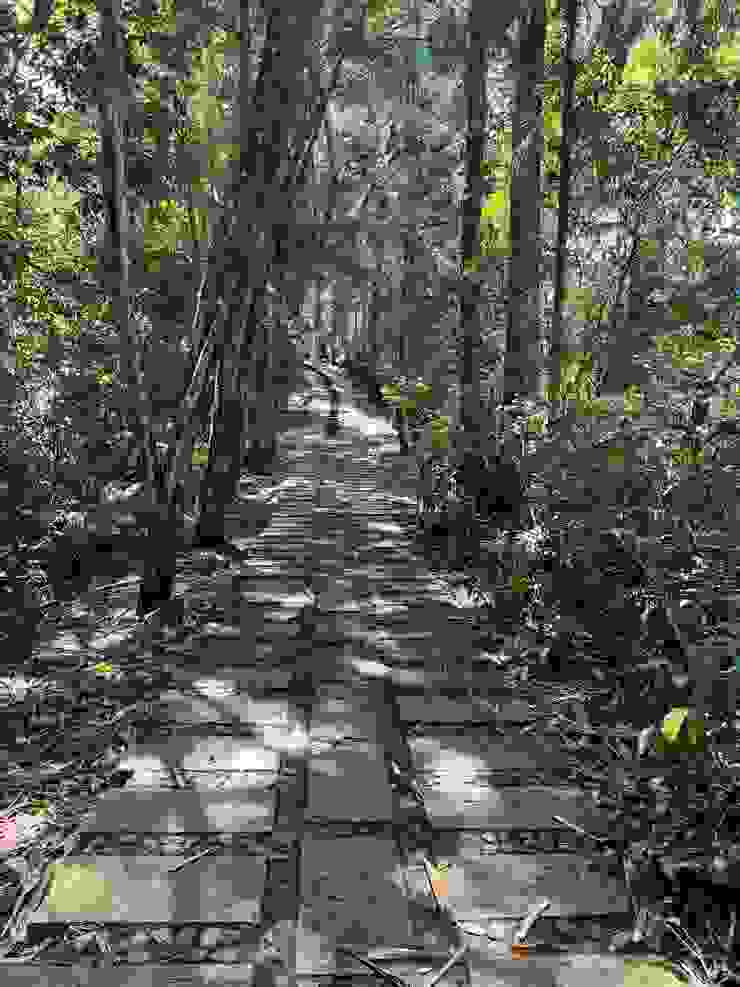 清幽的步道，青綠的苔蘚為步道鋪上古老的氣息