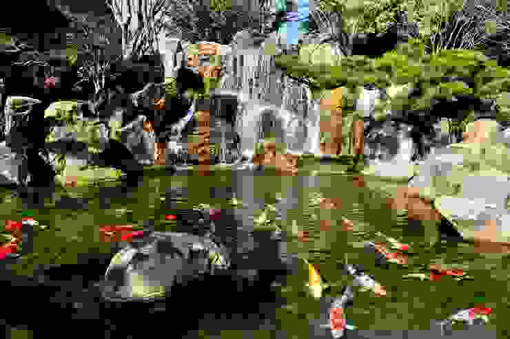 和園上池瀑布、錦鯉。2016年攝。