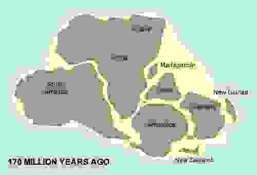 1億7千萬年前的岡瓦納大陸（感謝Visitzealandia提供）: Africa（非洲）、South America（南美洲）、Antarctica（南極洲）、India（印度）、Australia（澳洲）、New Zealand（紐西蘭）、New Guinea（新幾內亞）