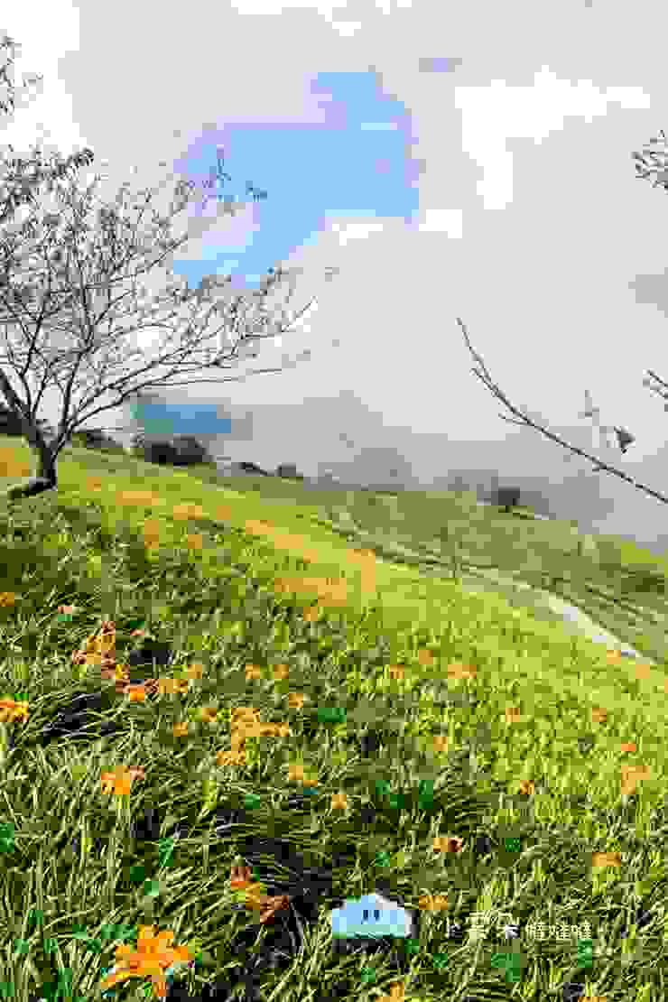 黃澄澄的金針花搭配山景好美呀！