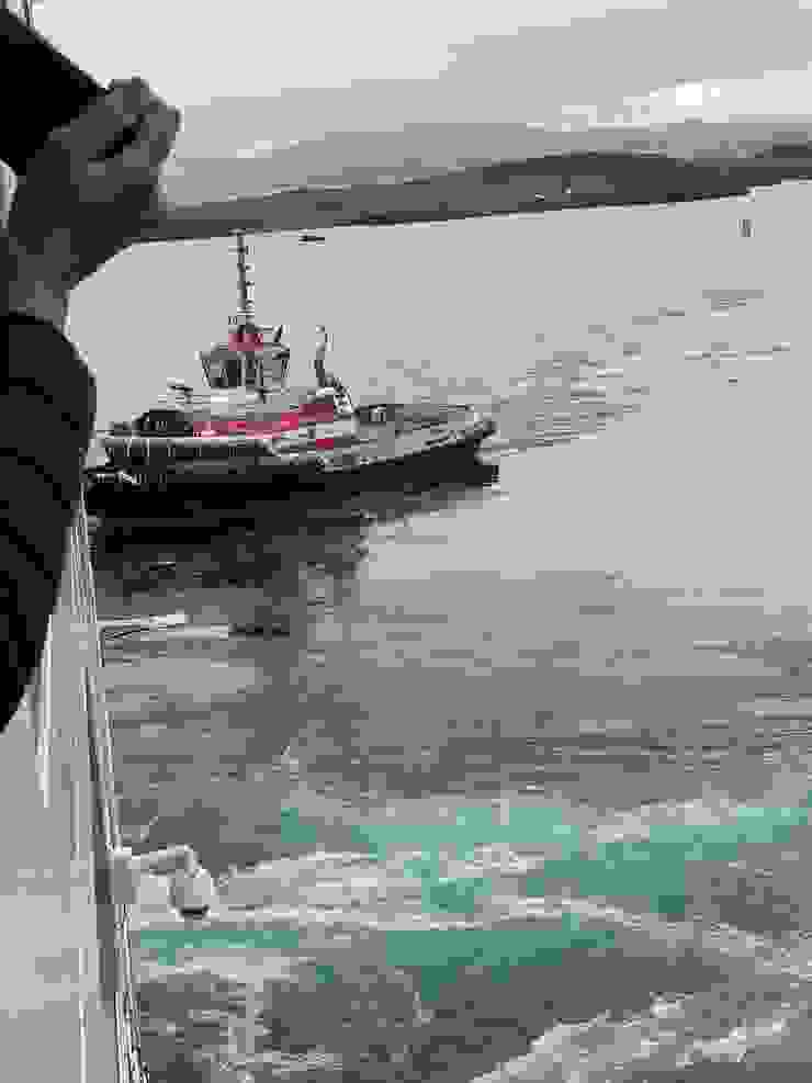 陽台可看峽灣看飛鳥，偶而也會看到魚或鯨魚。此為工作船正接近郵輪引船進港(或下錨）。