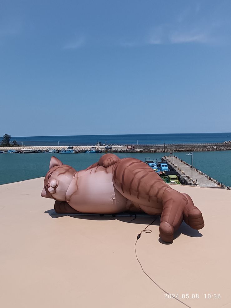 海口美術館貓雕展，自拍攝