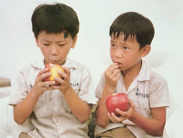 《蘋果的滋味》，網上圖片