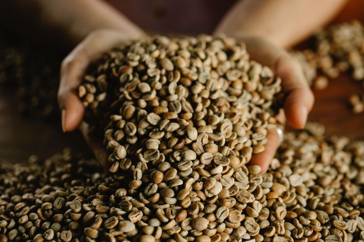 淺烘焙咖啡豆最能品嚐出最原始的咖啡豆風味