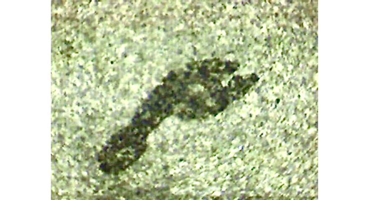 游泳池畔石材地板上一枚裸足沾水印跡 (俯視) / 2008