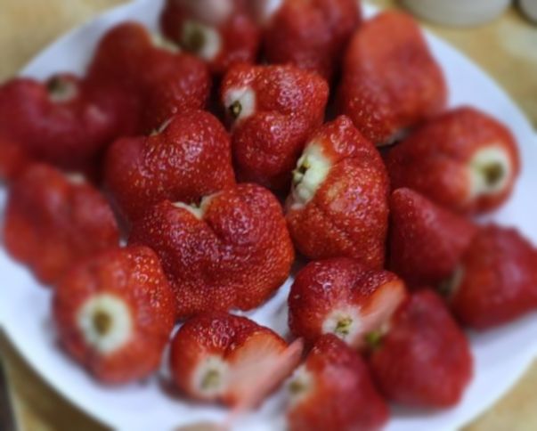 一顆100草莓