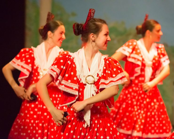 西班牙的「佛朗明哥舞」又稱為「響板舞」。