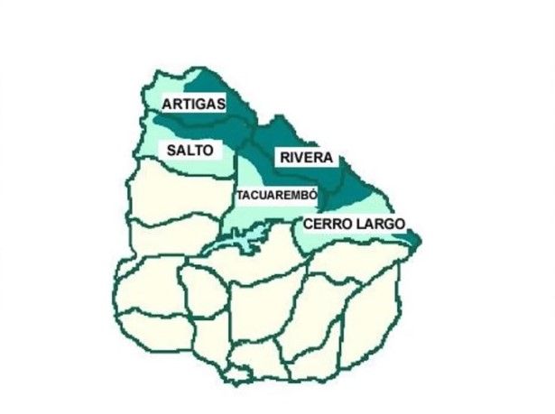烏拉圭葡語主要通行於該國北方和巴西鄰接的區域