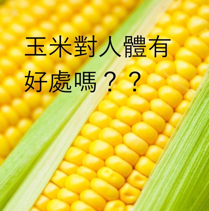 玉米真這麼好嗎未解之謎