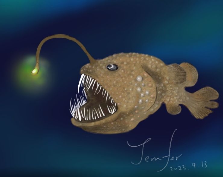 鮟鱇魚 Anglerfish