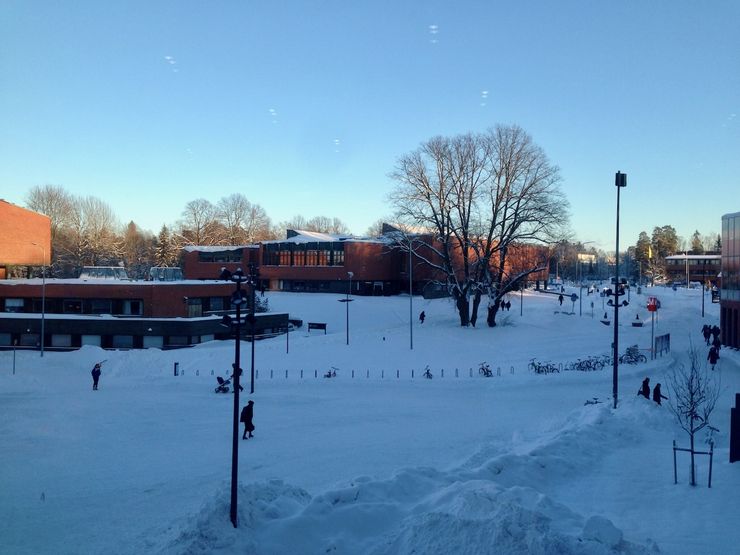 冬季被白雪覆蓋的阿爾托大學