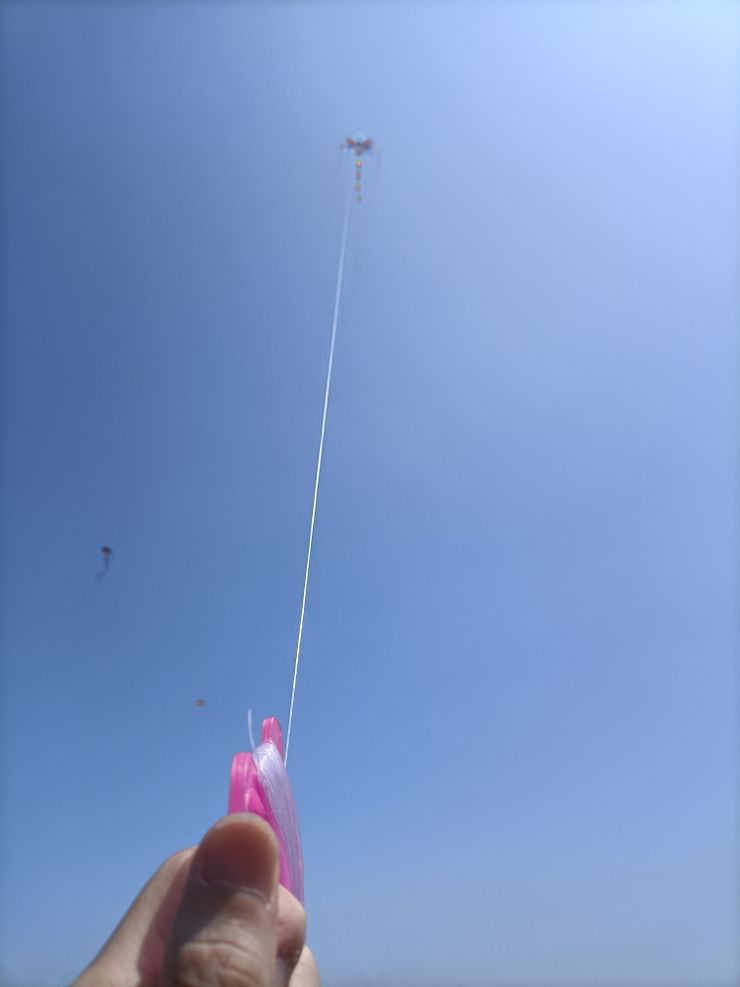 自由的風箏