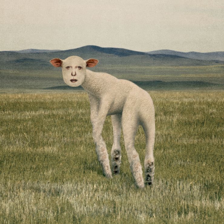 THORNAPPLE 第二張 EP《Animal》專輯封面。