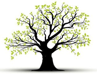 強榦弱枝, 讓人聯想到樹榦強壯而枝葉枯瘦的怪樹, 但對當世人來說, 他們有這樣的聯想？還是聯想到一棵健康的樹？
