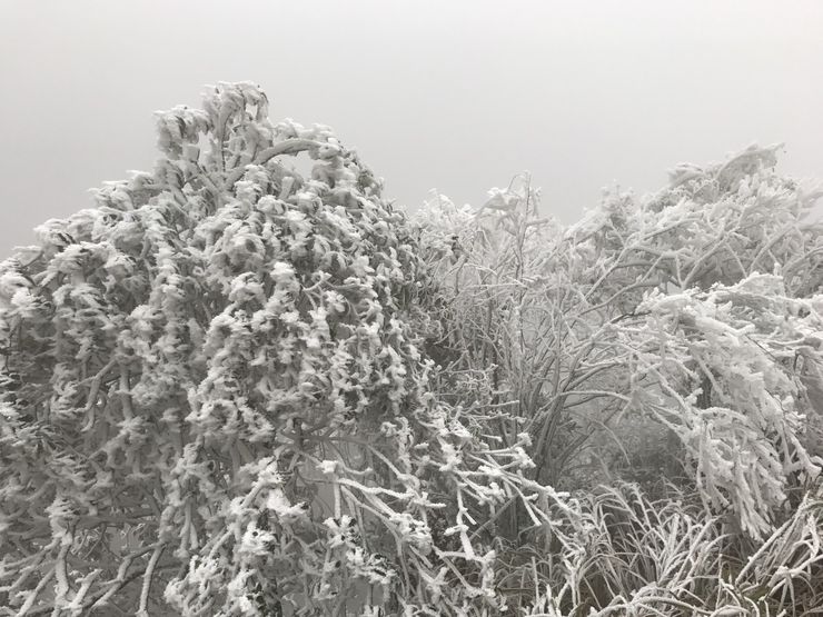 太平山雪景/Taiwan