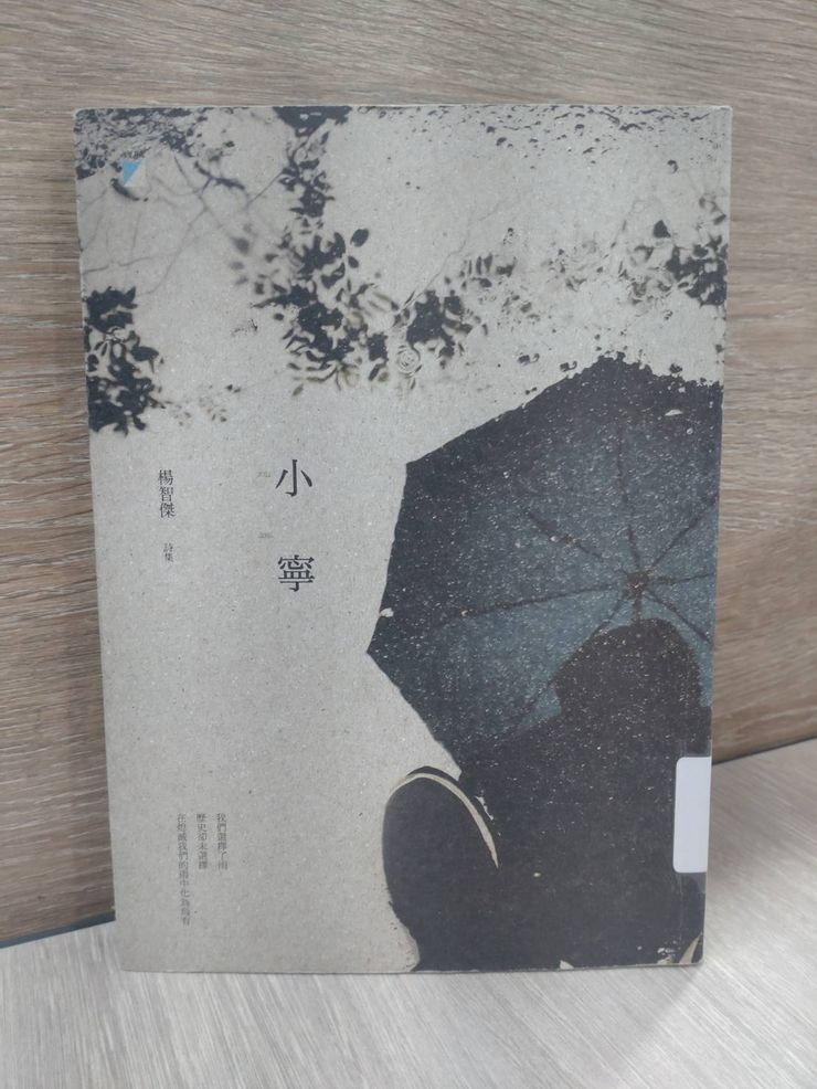 《小寧》楊智傑，2019，寶瓶出版