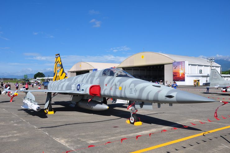 彩繪塗裝的F-5E戰機。