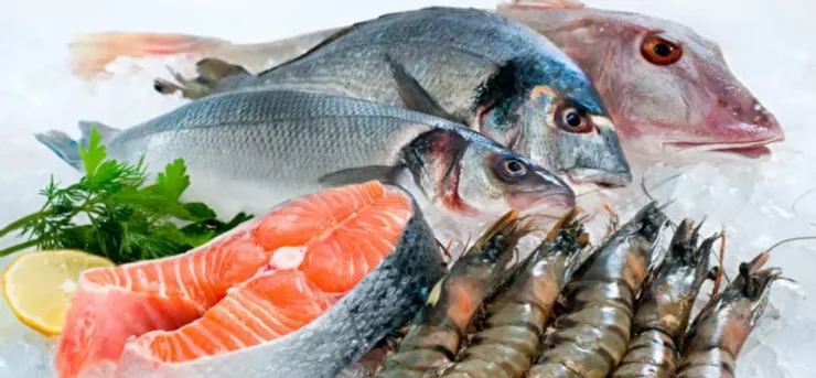 魚類、海鮮都是優質蛋白質