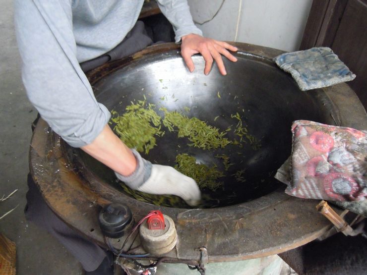 梅家塢茶農使用電炒鍋手炒龍井茶