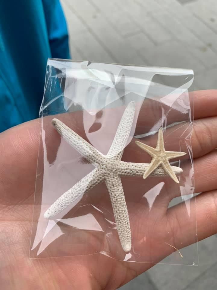 300天環遊世界:保加利亞-普羅夫迪夫、蘇菲亞 買了海星當紀念品