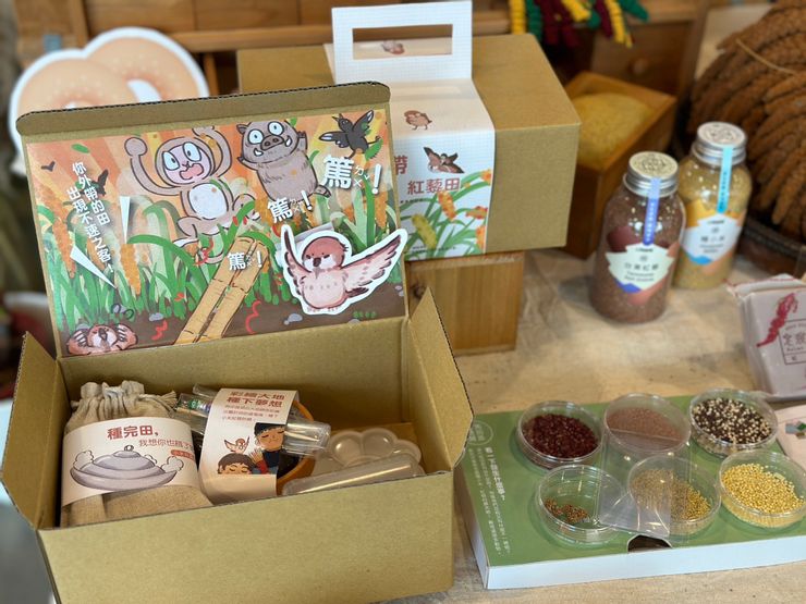 食農教具 小米觀察盒