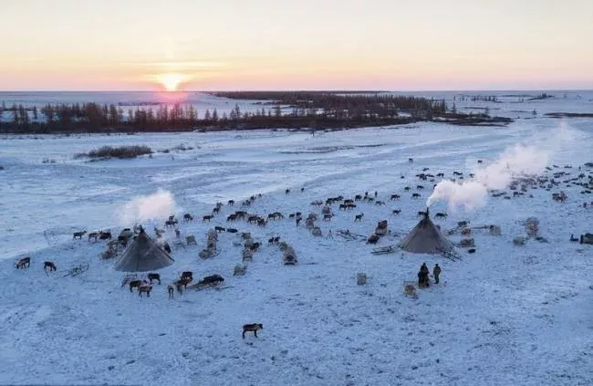 西伯利亞 (圖源：英國廣播公司(BBC)《天下為家》紀錄片的攝影師蒂莫西·艾倫(Timothy Allen)走進俄羅斯西伯利亞地區的亞馬爾-涅涅茨自治區。)