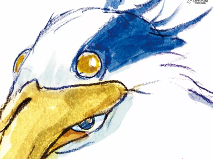 仔細看海報才發現，蒼鷺的嘴巴裡有另一隻眼睛，那是主角真人的眼睛。
