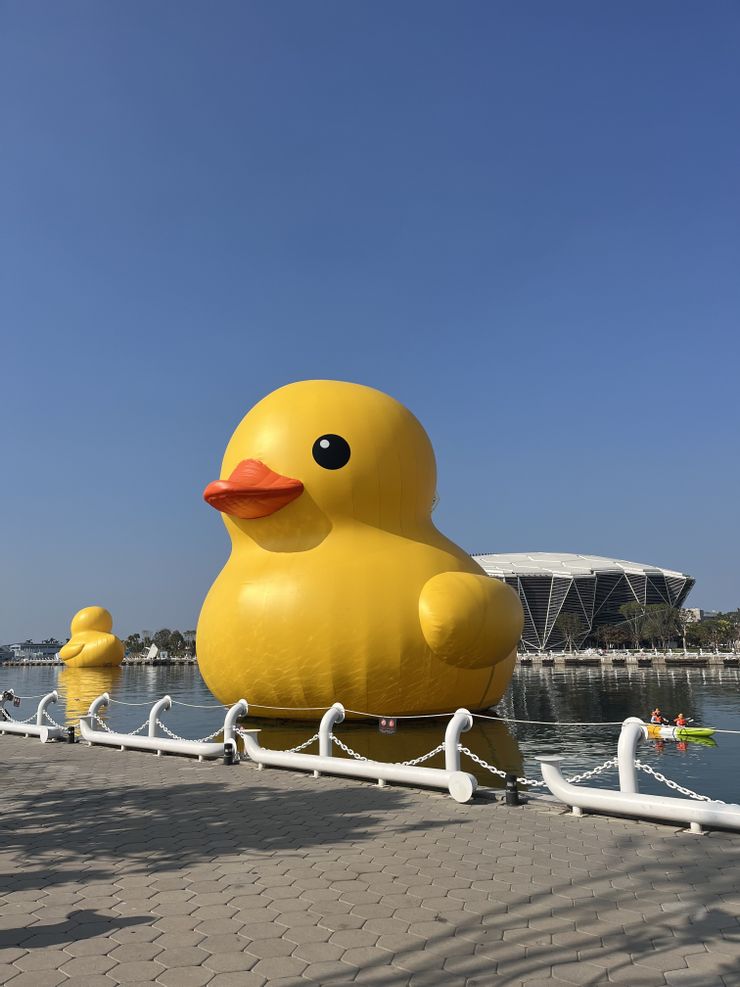 當然是部屋主人拍攝的。