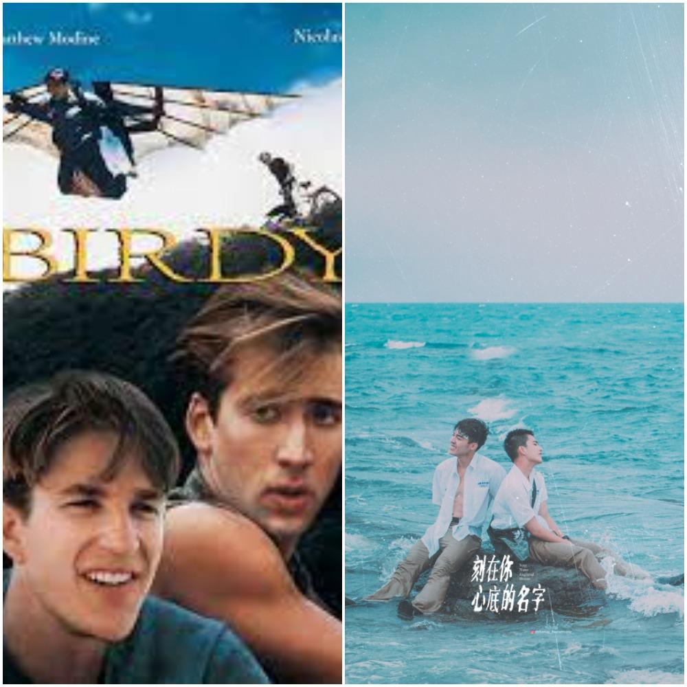 [好雷] 試析《Birdy(1984)》的「同性情誼」
