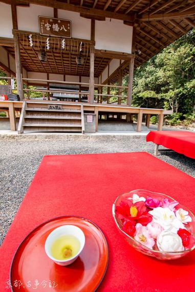 平岡八幡宮 花之天井隱藏的藥用花草 方格子 平岡八幡宮 花之天井隱藏的藥用花草 方格子