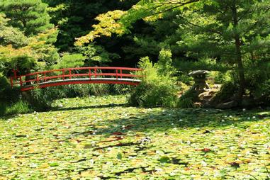 大原野神社 睡蓮油畫 方格子 大原野神社 睡蓮油畫 方格子