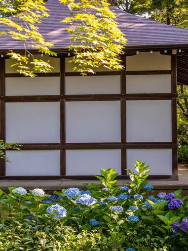 真如堂 日本第一部電影 本能寺合戰 拍攝地 方格子vocus 真如堂 日本第一部電影 本能寺合戰 拍攝地 方格子vocus