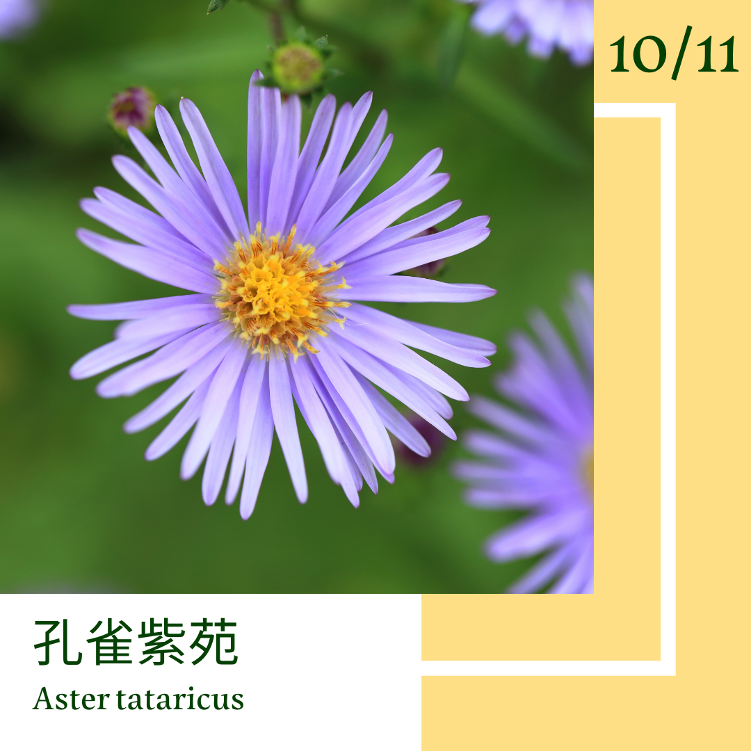 Gkx F1navxciem Gkx F1navxciem