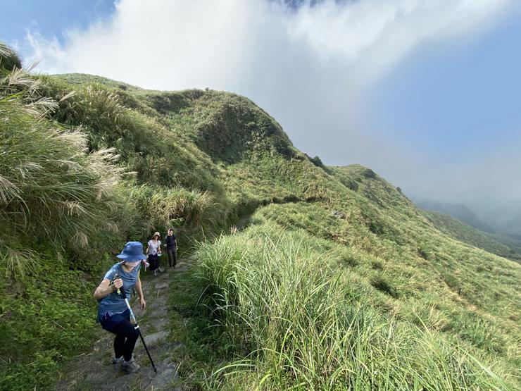這是一條近乎完美的市郊步道,景觀多樣、林相優美、可親近的溪水、輕鬆但運動量足夠的距離和爬升。