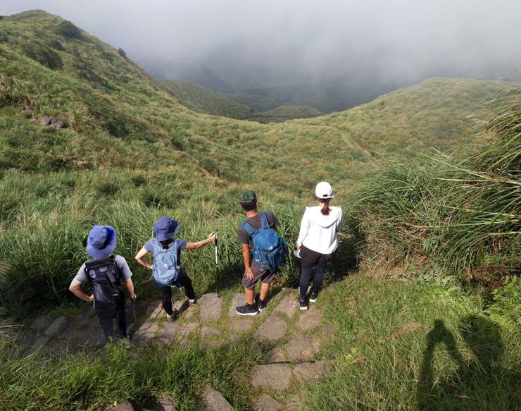 走出前大半段的蒼鬱樹林後,視野豁然開朗。