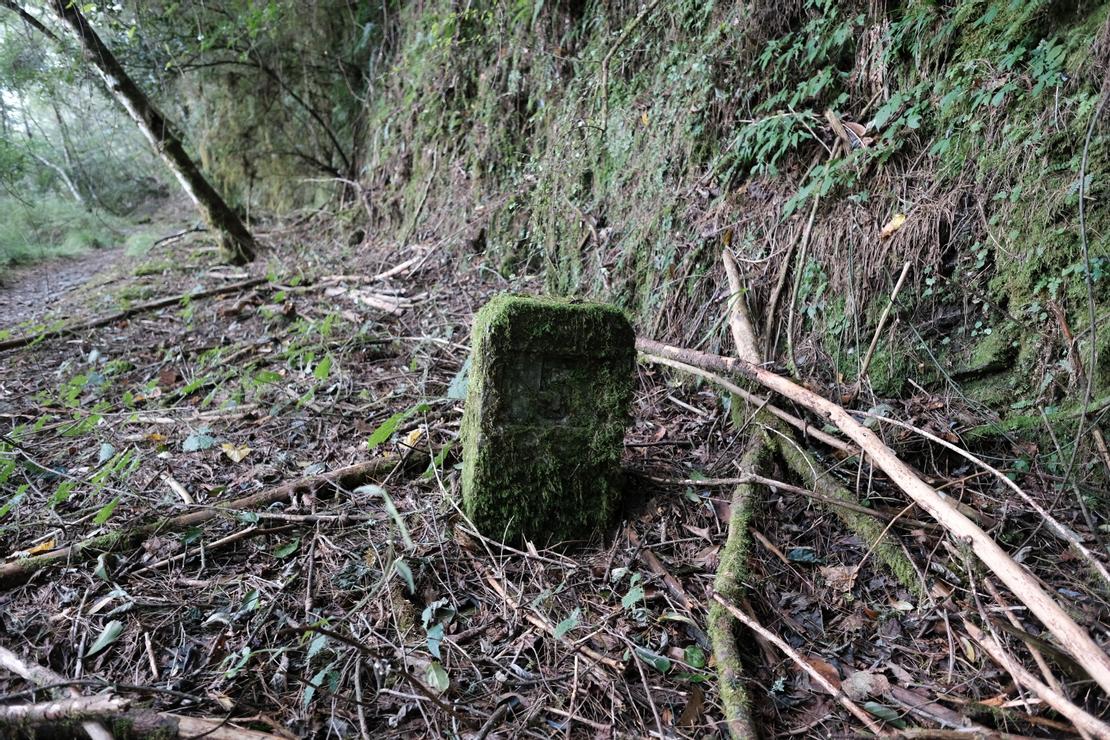 長滿青苔的5K標誌