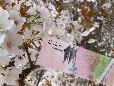 仁和寺 京都三大門之一 二王門 仁王門 方格子vocus 仁和寺 京都三大門之一 二王門 仁王門 方格子vocus