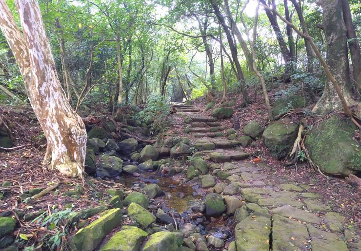 金包里大路單程3.7公里,海拔高度334~760公尺。