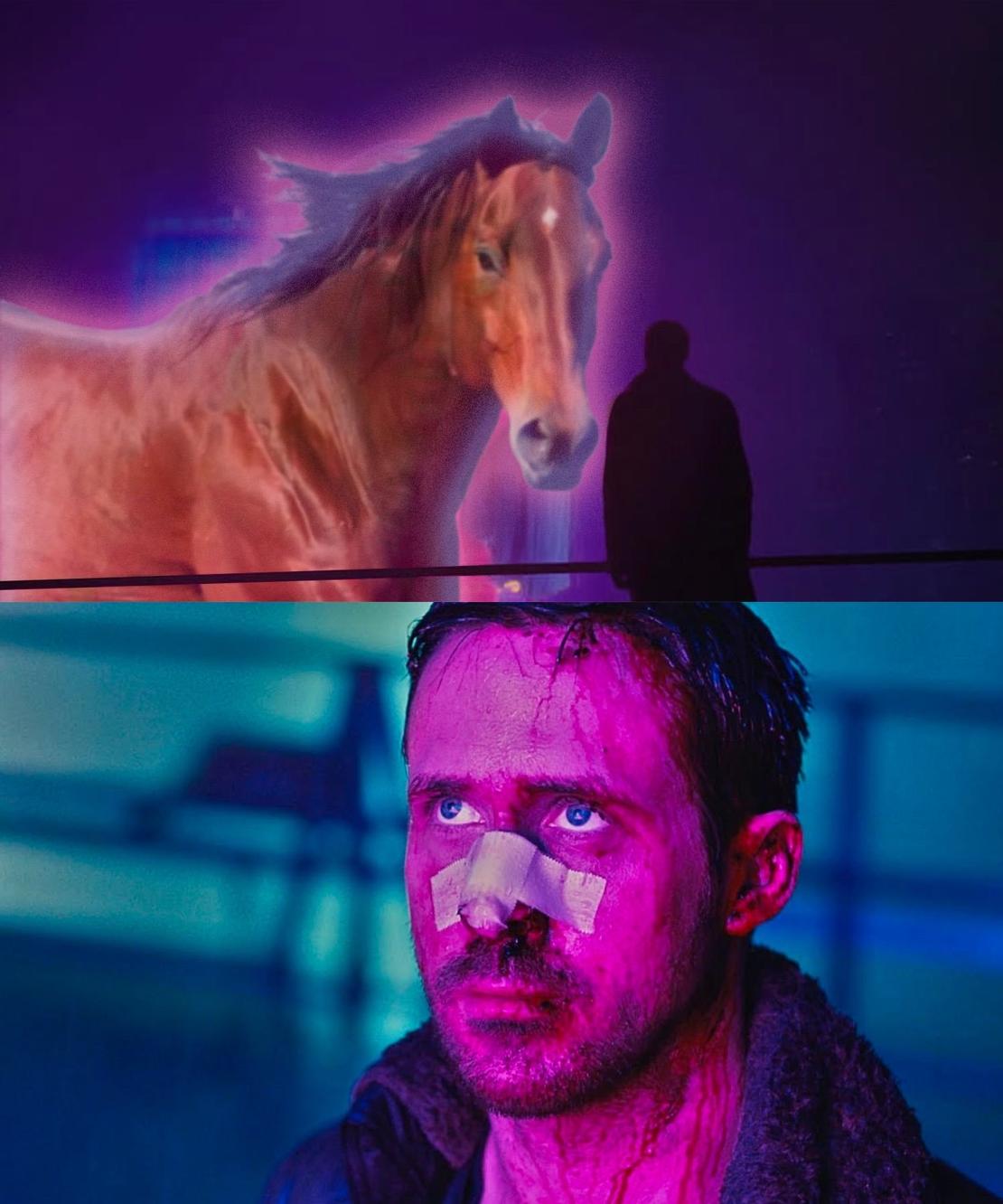 圖片來源:https://www.facebook.com/cinestheticofficial/posts/pfbid0xJNTxg4PgQMWoWsWJX2mb4rsJwn29ao7yNMJNv6an7djYUgWjUjXgzi8VvdezDiWl