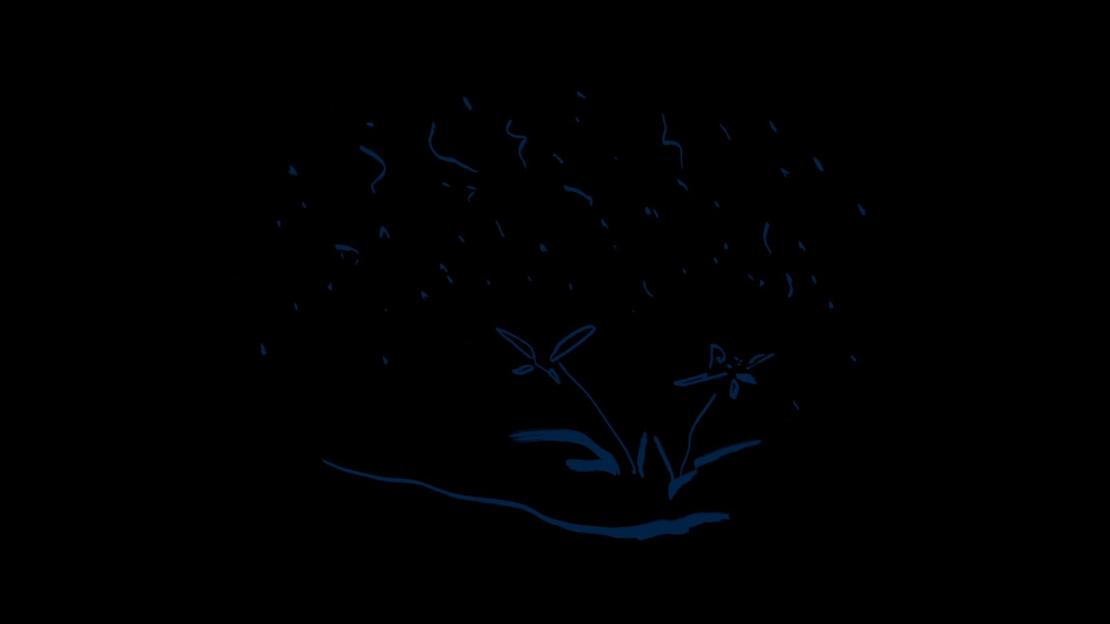 《夜,散步》