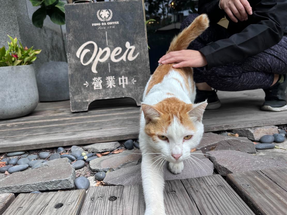 奴才!報上名來,然後附上罐罐!