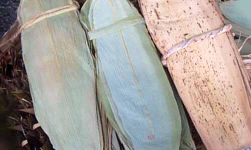 北部粽 南部粽使用的粽葉品種 不同種類各有什麼優點 方格子vocus 北部粽 南部粽使用的粽葉品種 不同種類各有什麼優點 方格子vocus