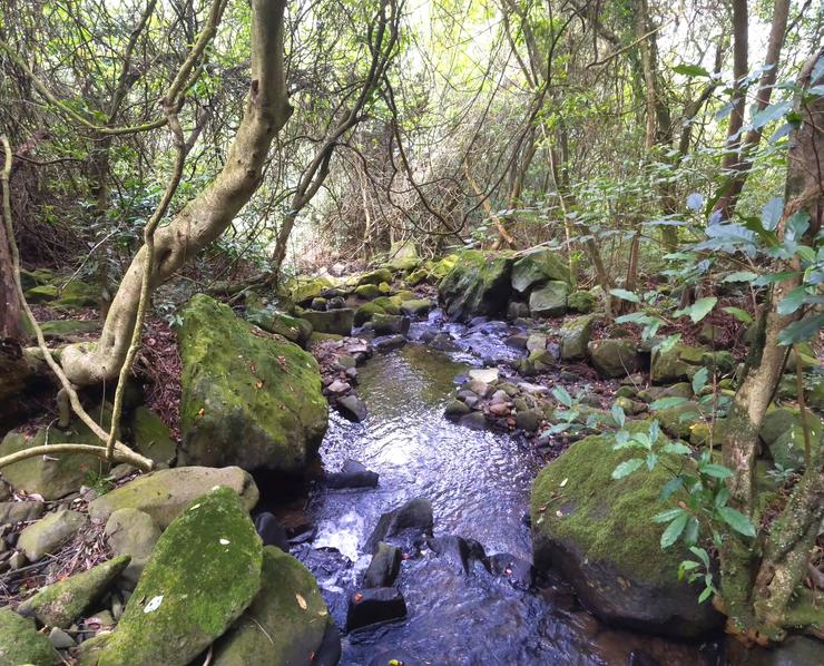 蜿蜒清澈的磺溪