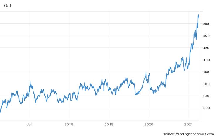 圖3 國際燕麥價格 (USD/Bu)。來源:Tradingeconomics