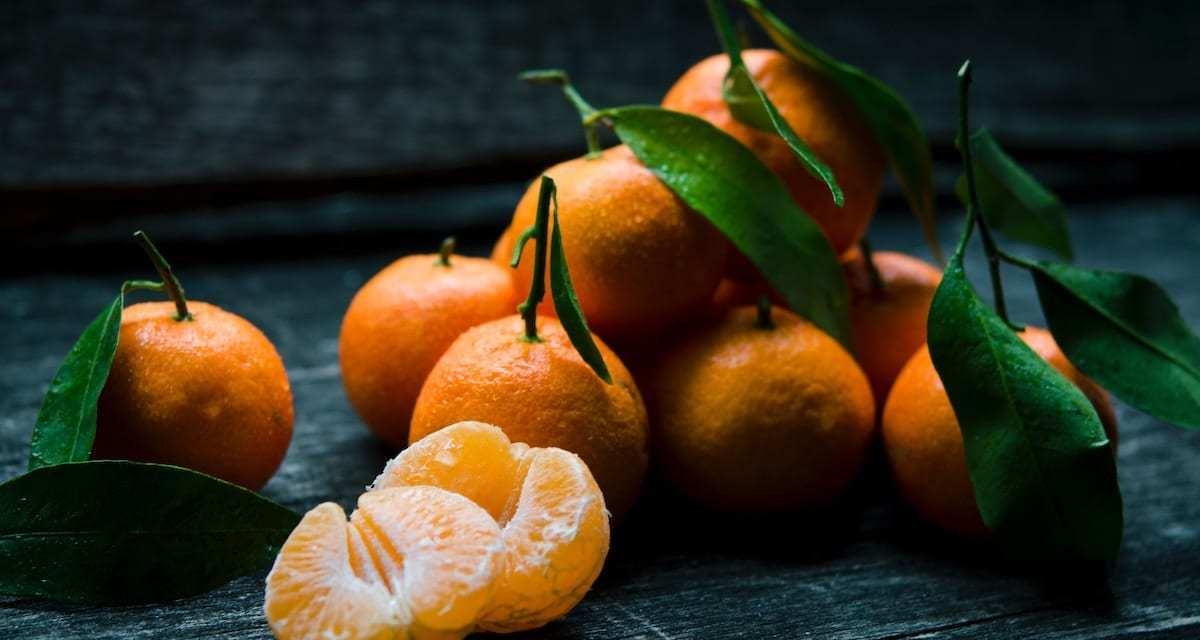 非時香菓是橘子00 年前名字 方格子vocus 非時香菓是橘子00 年前名字 方格子vocus