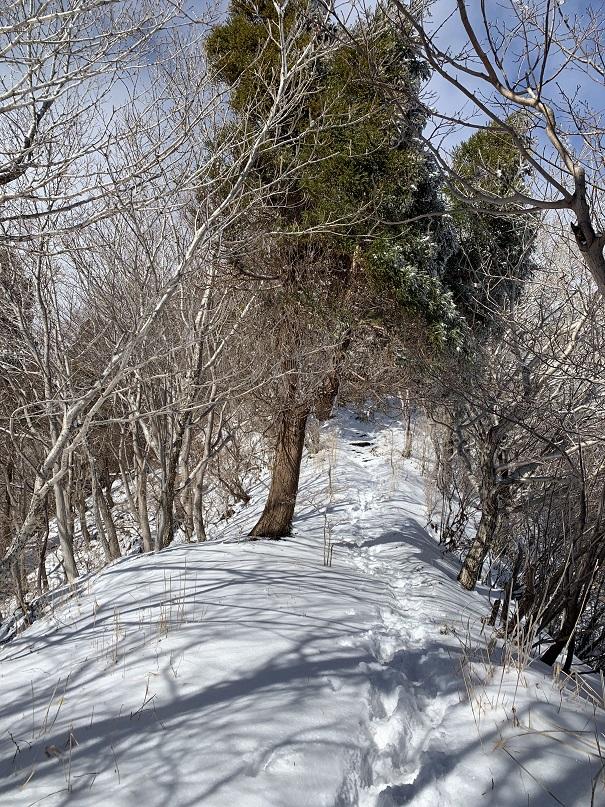 愈到高處積雪愈厚