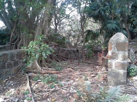 圖5	牛欄古蹟與古樹環抱