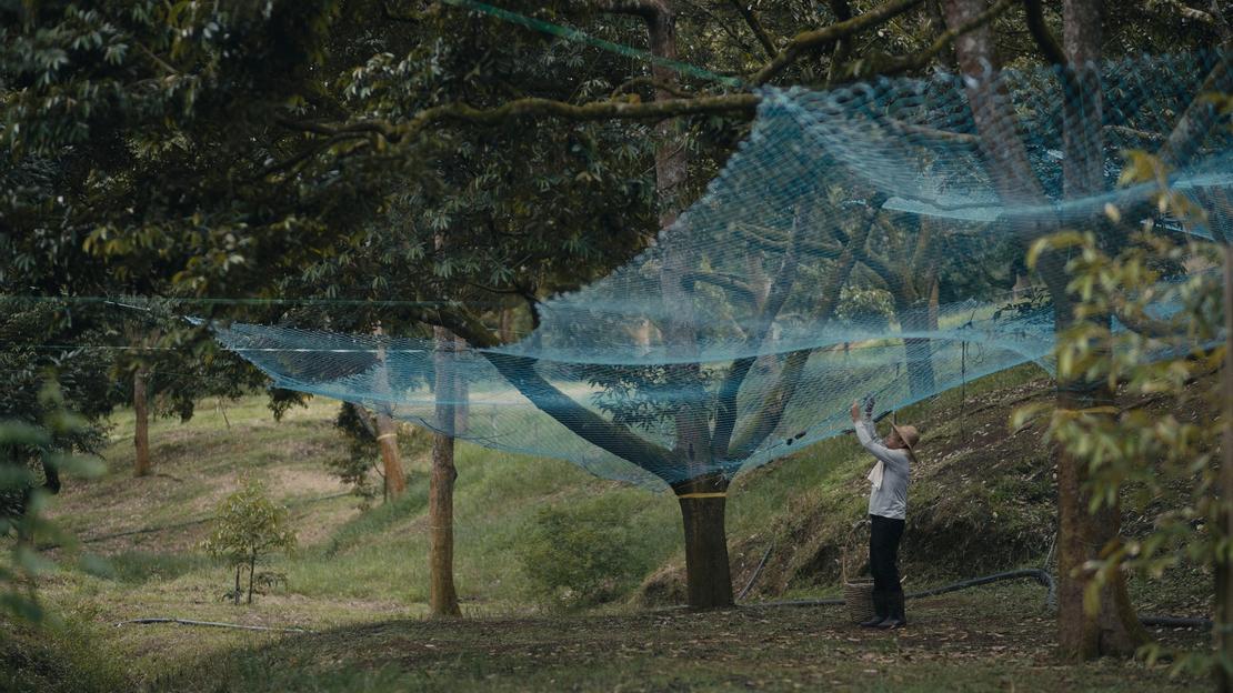 《榴槤芭》劇照/新北市學生影像新星獎