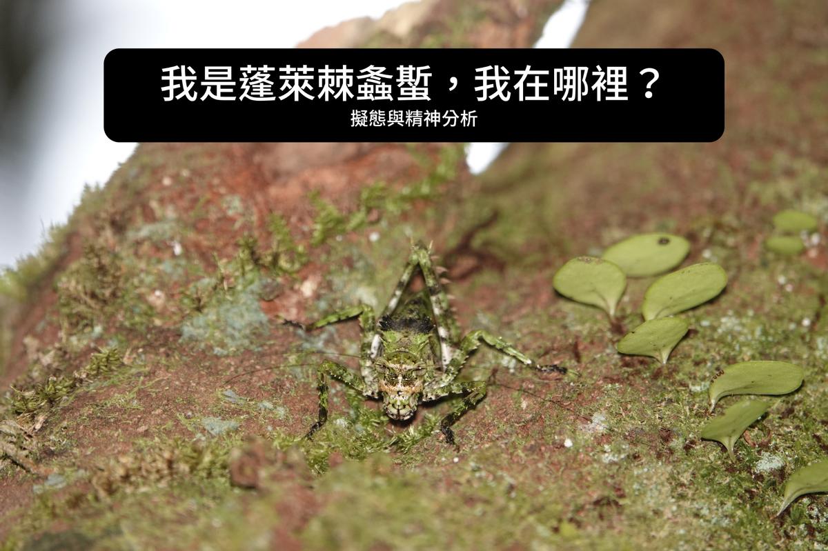 擬態與精神分析 方格子vocus 擬態與精神分析 方格子vocus